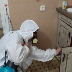 Дезинфекция от муравьев в квартире Красногвардейская метро Москвы